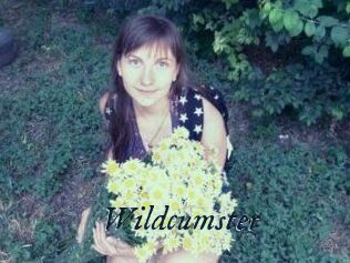 Wildcumster
