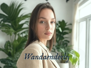 Wandaenderby