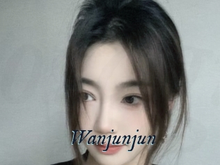 Wanjunjun