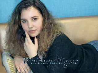 Whitneydiligent