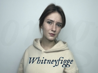 Whitneyfigge