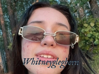 Whitneygleghorn