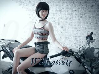 Wildcatcute