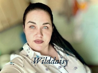 Wilddaisy