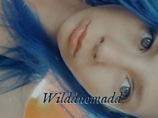Wilddnomadd