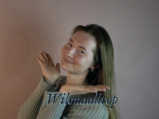 Wilonaalltop