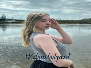 Wilonebolyard
