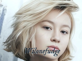 Wilonefudge
