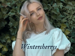 Wintercherrys