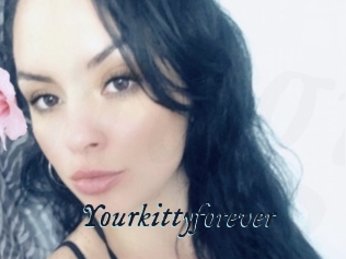 Yourkittyforever