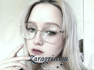 Zaragriscom