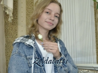 Zeldacatts