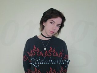 Zeldaharkey